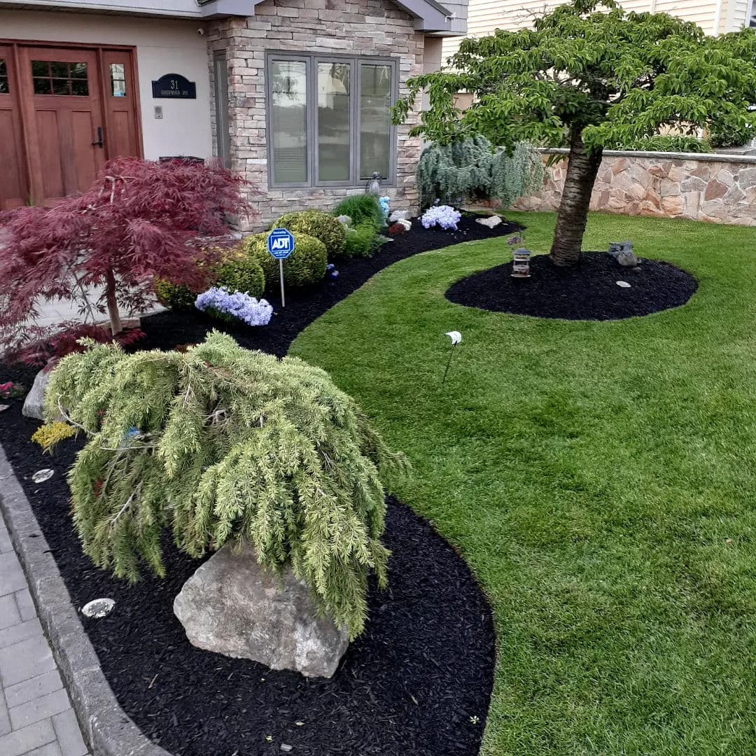 Front Yard Landscaping Transformation image