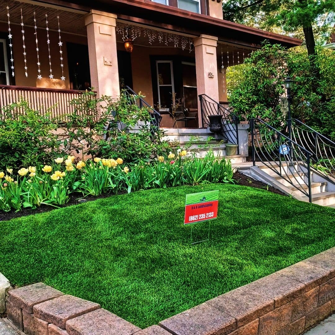 Front Yard Lawn Transformation