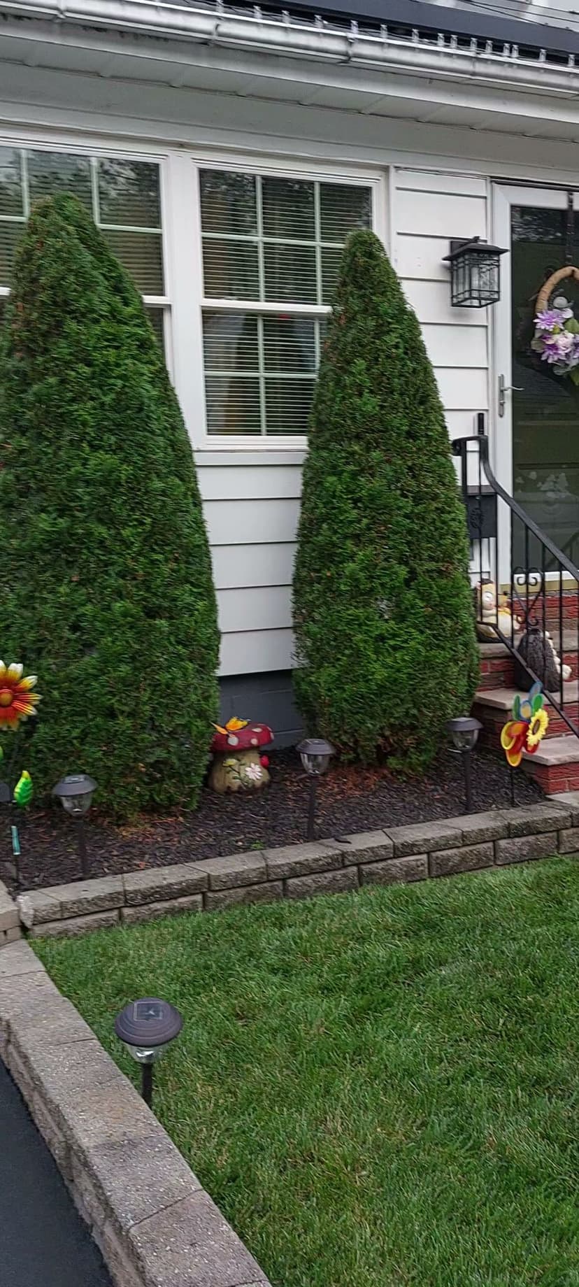 Green Thumb Award's image