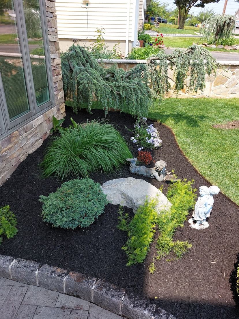 5-Star Quality Assurance's image